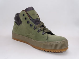 Disco Olive 979