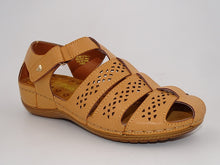 Load image into Gallery viewer, Lois Camel 344
