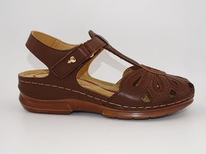 Martha Camel 345