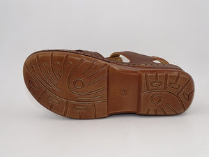 Martha Camel 345