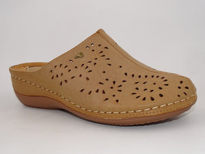 Molly Tan 794