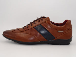 Zuber Brown/Navy 948